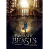 Image de Poster Puzzle - Fantastic Beasts - Macusa 500 Pièces Wrebbit 3D