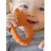 Image de Anneau de dentition - fox