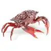Image de Lladró CRAB
