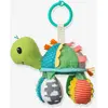 Image de Tortue Miroir - multicolore