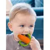 Image de Anneau de dentition silicone carotte multicolore