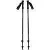 Image de Bâton de trekking Black Diamond Explorer 2 Noir TU BD112550-4014