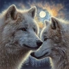 Image de Moonlight Mates 500 Pièces SunsOut