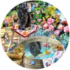Image de Reflets de Chaton 500 Pièces SunsOut