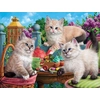 Image de Kitten Tea Party 500 Pièces SunsOut