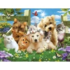 Image de Pièces XXL - Pups n Kittens 300 Pièces SunsOut