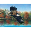 Image de Abraham Hunter - Wetlands Eagle 1000 Pièces SunsOut