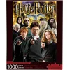 Image de Collage Harry Potter 1000 Pièces Aquarius