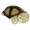 Image de Veilleuse Twilight Turtle - Moka Marron