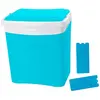 Image de Glacière 25l + 2 Pains De Glace 350g