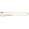 Image de Laisse pour chien rond classic nylon Martin Sellier Beige 2 m 3005306