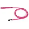 Image de Laisse pour chien Martin Sellier Rose 200 cm 3005311