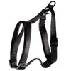 Image de Harnais pour chien réglable classic nylon Martin Sellier XS Vert 10x25/35 cm 3005592