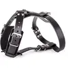 Image de Harnais pour chien en cuir Martin Sellier Noir 21/65 cm 3005688