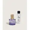 Image de Coffret lampe Berger Pure Lolita Lempicka Parme