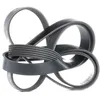 Image de BOSCH 1 987 946 005 Courroie Poly-V