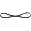 Image de BOSCH 1 987 946 024 Courroie Poly-V