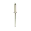 Image de RESTAGRAF - Rivets rivets epanouis peints - 4928