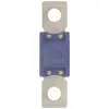 Image de RESTAGRAF - Fusibles - accessoires fusibles mega - 17142