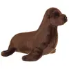 Image de Peluche - Otarie - 23 Cm Marron