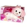 Image de Peluche Interactive 30 Cm, Chien Puppy Bell, Rose Et Blanc, Vendue En Boîte Cadeau Rose