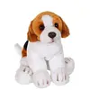 Image de Peluche - Peluche Floppipup Beagle - 22 Cm Blanc