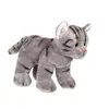 Image de Peluche - Peluche Chat Floppikitty - Gris 22 Cm Gris