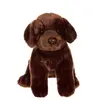 Image de Peluche - Chiens Réalistes Assis, Labrador Chocolat 25 Cm Marron