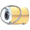 Image de VALEO 587902 Filtre à Carburant Cartouche filtrante