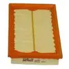Image de PURFLUX A925 Filtre à air Cartouche filtrante