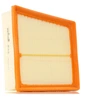 Image de PURFLUX A1315 Filtre à air Cartouche filtrante