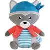 Image de Peluche Jemini John Le Raton-Laveur Bleu 26 cm 023967