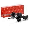 Image de TRW JGM1361T Amortisseur TWIN, Système bitube, Pression de gaz, Montage de jambe de suspension, Pont en bas