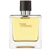 Image de TERRE D’HERMÈS parfum vaporisateur 75 ml