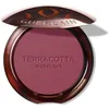 Image de TERRACOTTA BLUSH blush effet bon visage #04