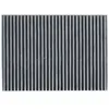 Image de CORTECO 80005174 Filtre d'habitacle Filtre à charbon actif