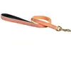 Image de Laisse pour chien 3 positions Bobby Walk Beige 2x100 cm LSCLASS_11_100