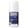 Image de POUR HOMME Déodorant roll-on 24H 50 ml