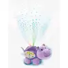 Image de Hippo dodo nuit étoilée violet
