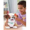 Image de Cookie mon chiot bobo multicolore