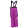 Image de Pantalon De Ski Fille Fapix Violet