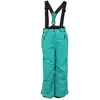 Image de Pantalon De Ski Fille Fapix Vert