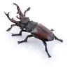 Image de Figurine Lucane Marron