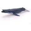Image de Baleine Bleue Bleu