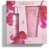 Image de Coffret 2 bouteilles ROSE DE VIGNE