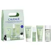 Image de Coffret de routine anti-acné Vinopure 4 pièces