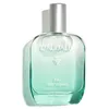 Image de EAU DES VIGNES agua fresca 50 ml