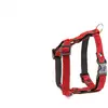 Image de Harnais pour chien Martin Sellier S Rouge 15 mm 3009154