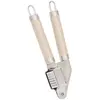 Image de Presse Ail Inox
