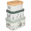 Image de Set De 3 Boites De Rangement Enfant - Eleo Multicolore